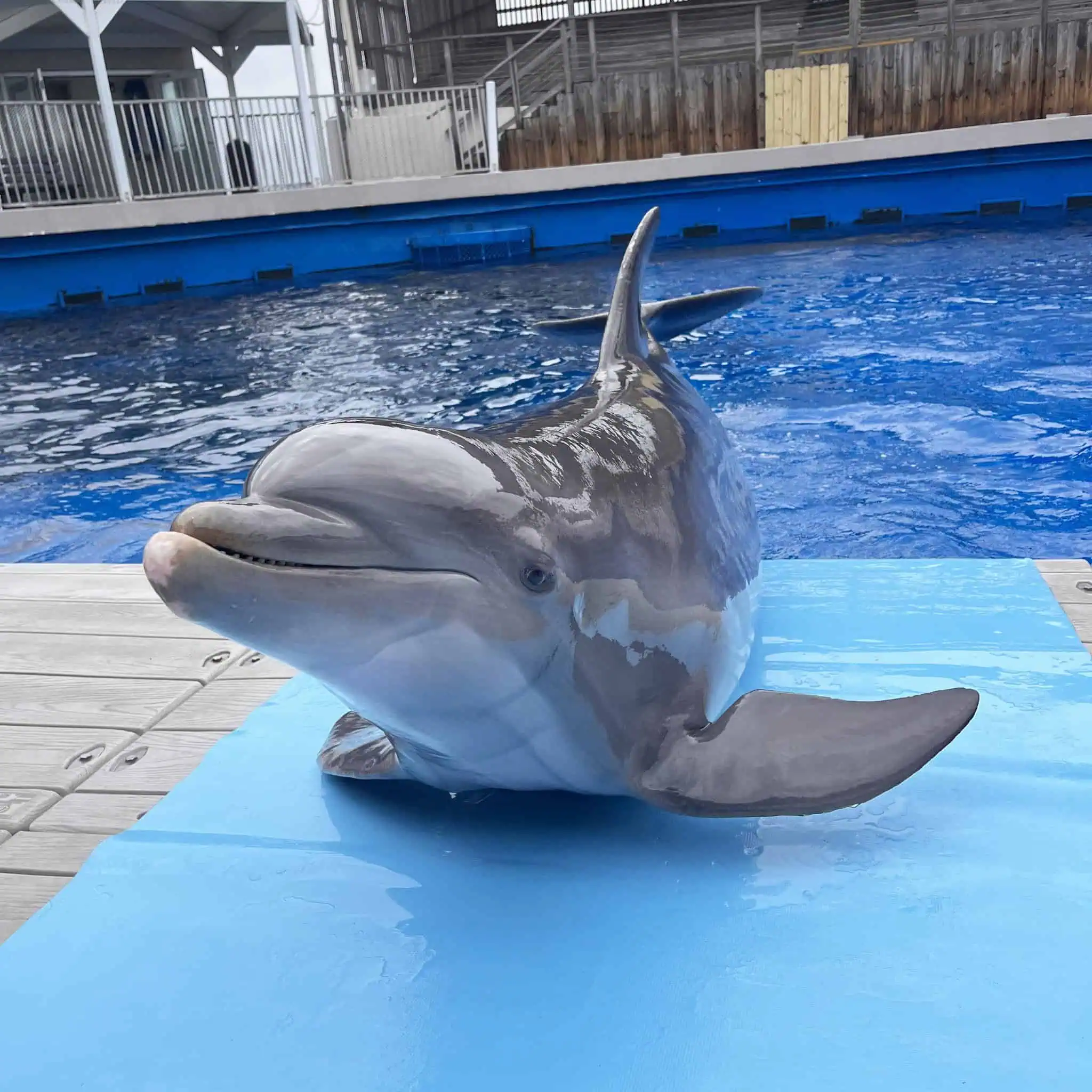 Gulfarium