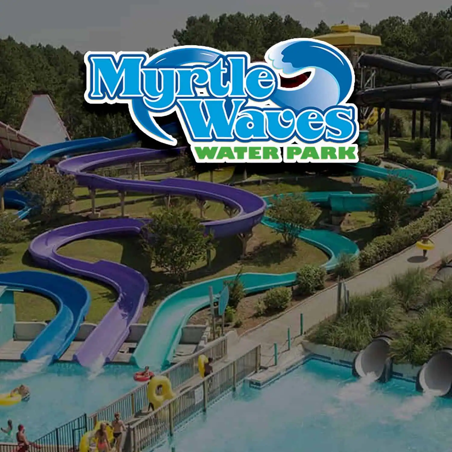 Myrtle Waves Main Image