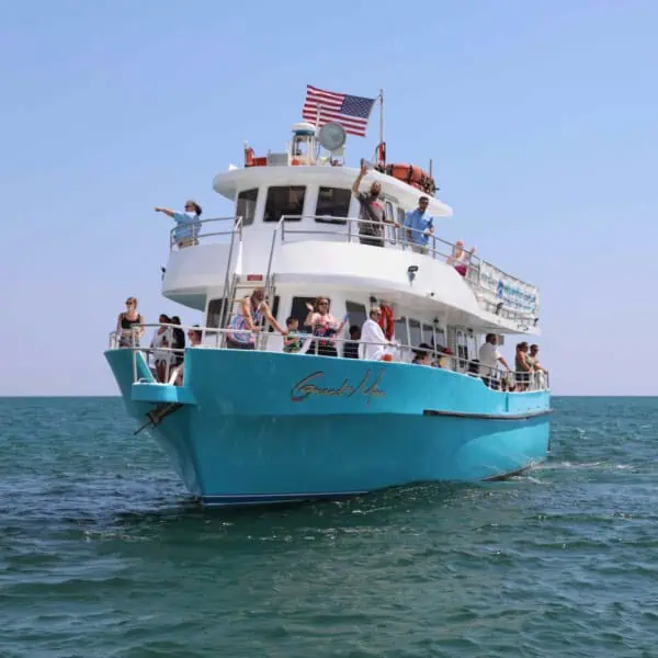 Grand-Mere Shell Island Cruise & Dolphin Encounter 1