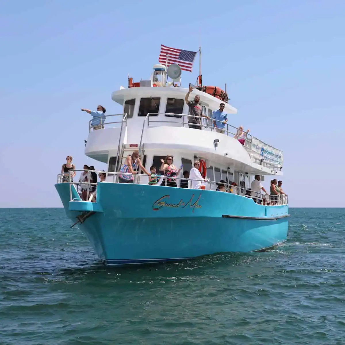Passengers enjoying a Shell Island cruise and dolphin encounter adventure