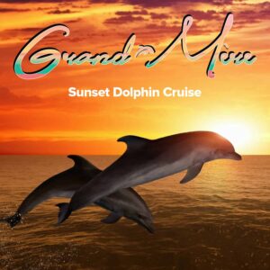 Grand-Mere Shell Island Cruise & Dolphin Encounter