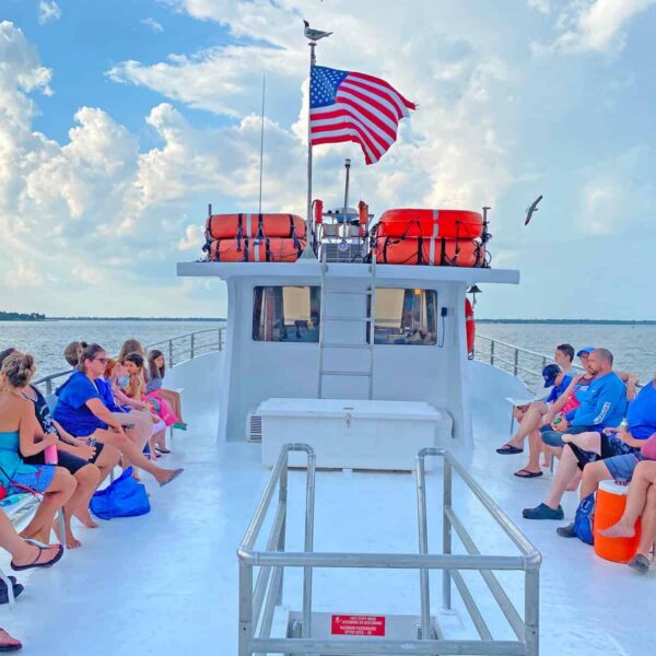 Grand-Mere Sunset Dolphin Cruise 3