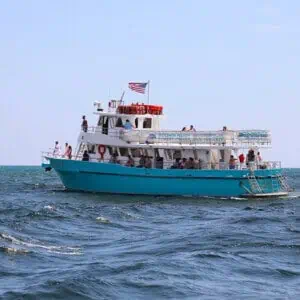 Grand-Mere Sunset Dolphin Cruise 4