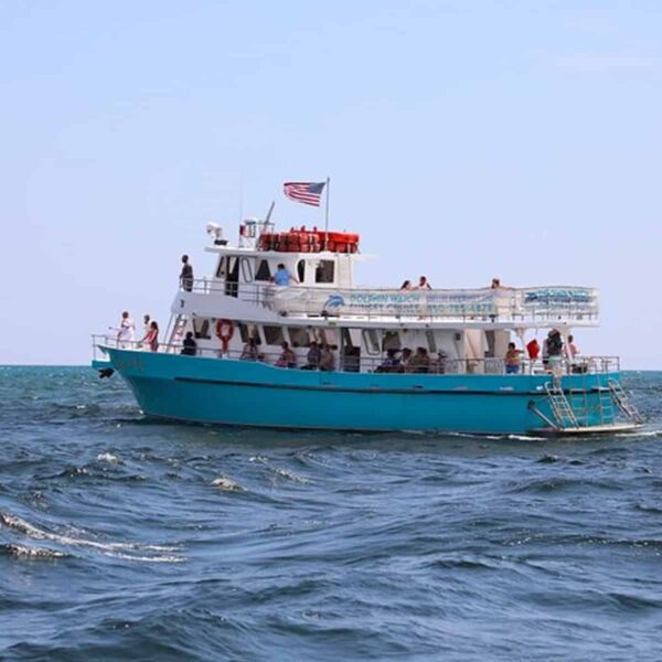 Grand-Mere Sunset Dolphin Cruise 4