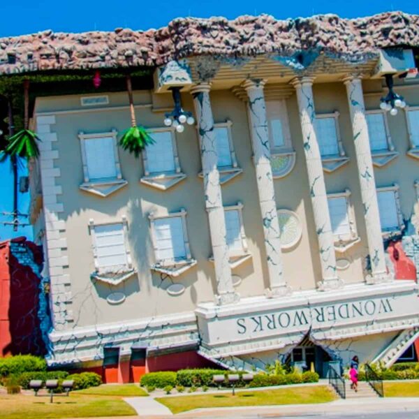 Wonderworks 4