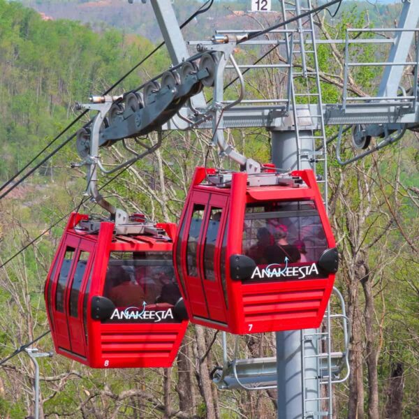 ANAKEESTA Ticket Image 1