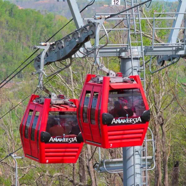 ANAKEESTA Ticket Image 1