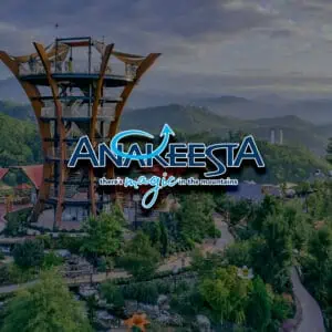 ANAKEESTA