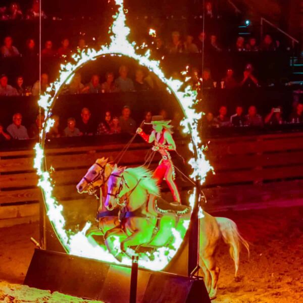 Dolly Parton’s Stampede Dinner Attraction Ticketing for Less