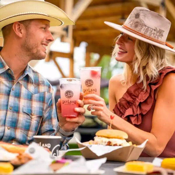 Skyland Ranch Ticket Image 5