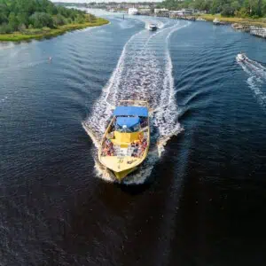 Sea Thunder Dolphin Cruise