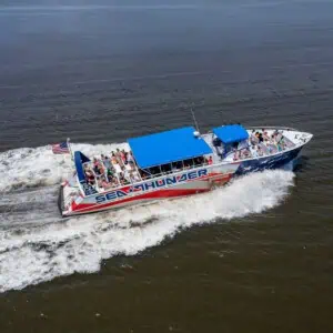 Sea Thunder Dolphin Cruise