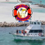 Pelican Adventures