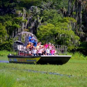 Wild Florida - Airboat Tour