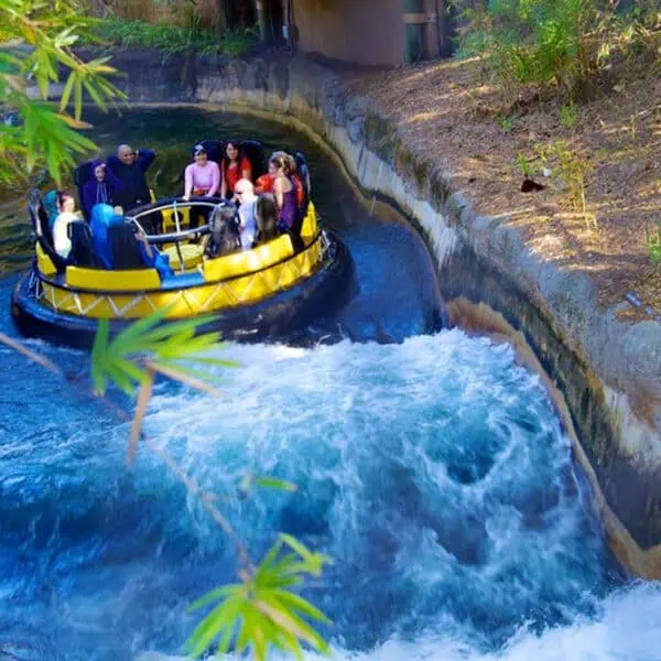 Busch Gardens