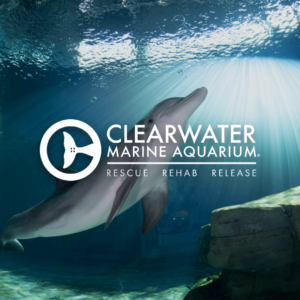 Clearwater Marine Aquarium - Image 1