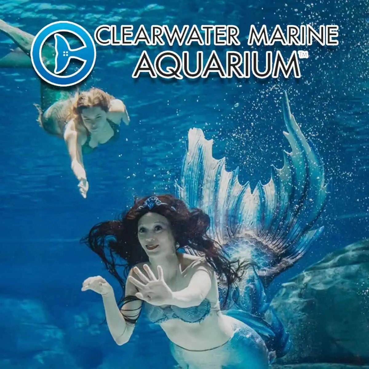 Clearwater Marine Aquarium