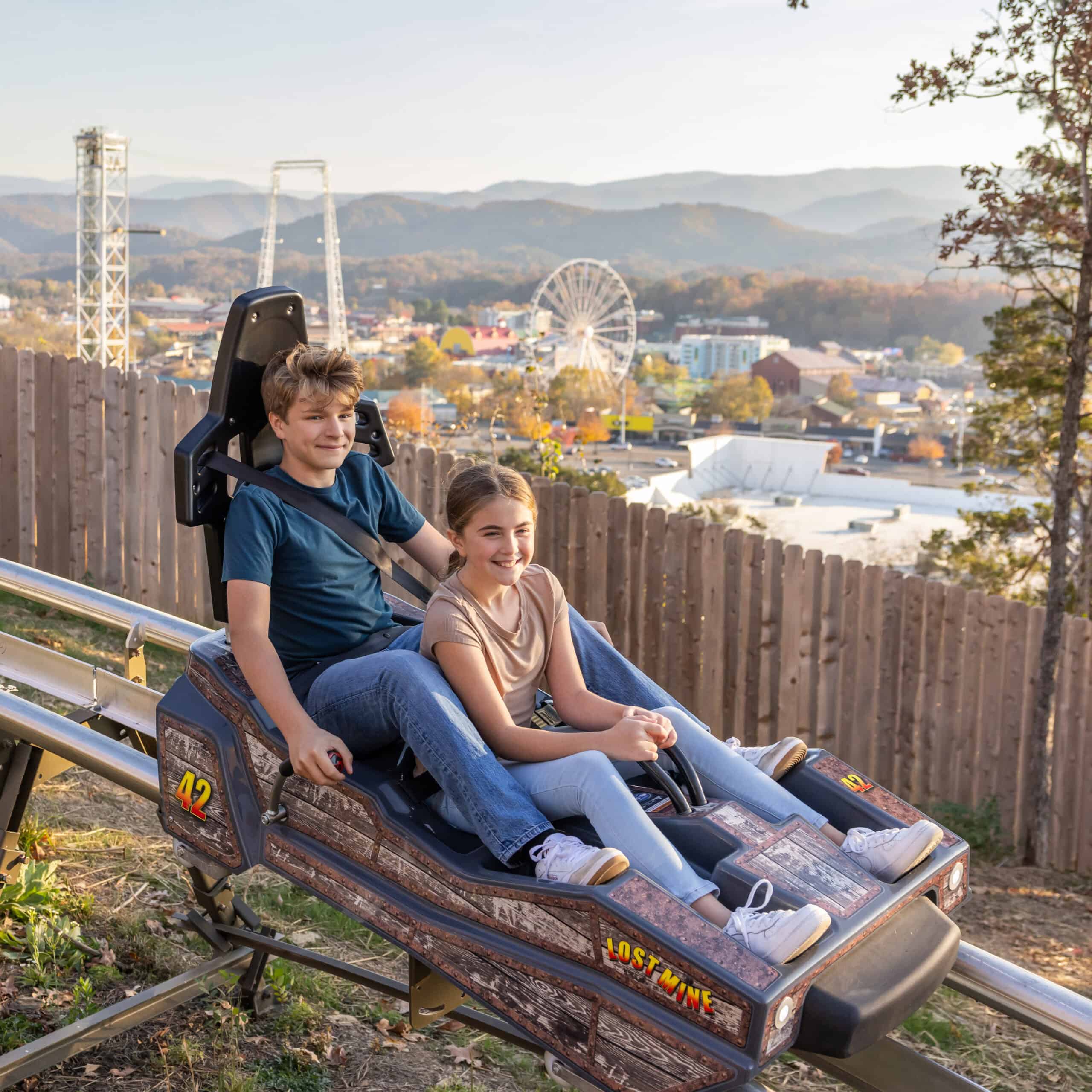 Roller coaster at the amusement park