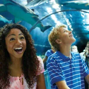 Sea World