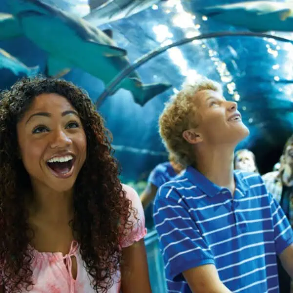Sea World