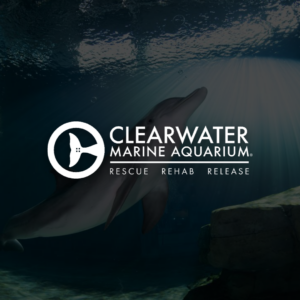 Clearwater Marine Aquarium - Image 1