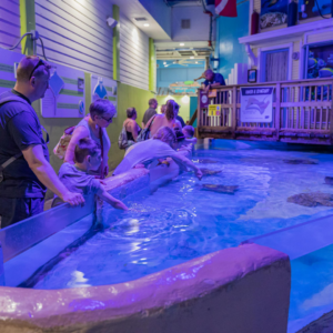 Clearwater Marine Aquarium - Image 2