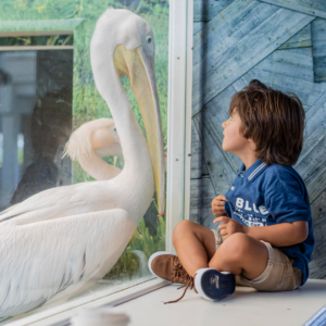 Clearwater Marine Aquarium - Image 5