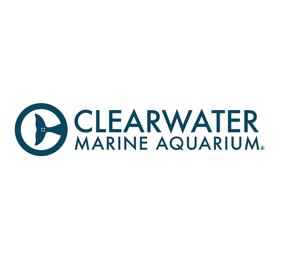 CLEARWATER MARINE AQUARIUM