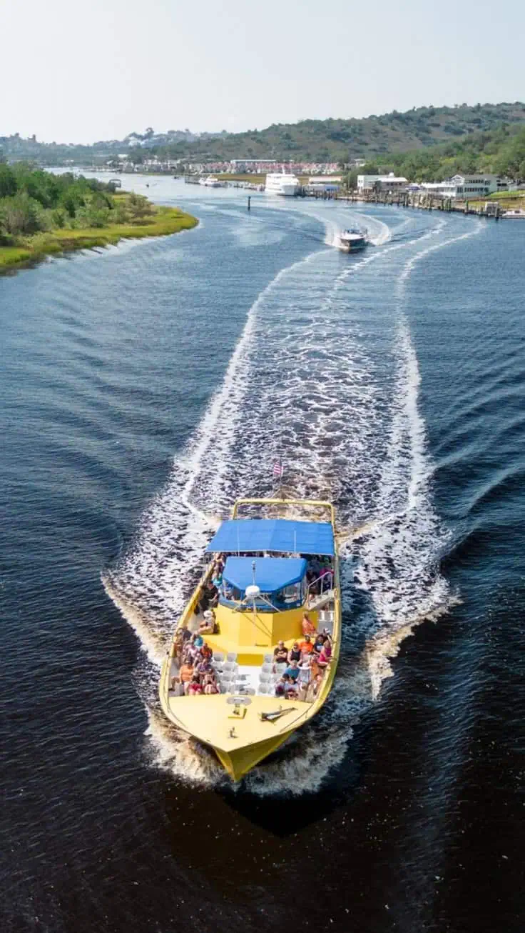 Sea Screamer Dolphin Cruise