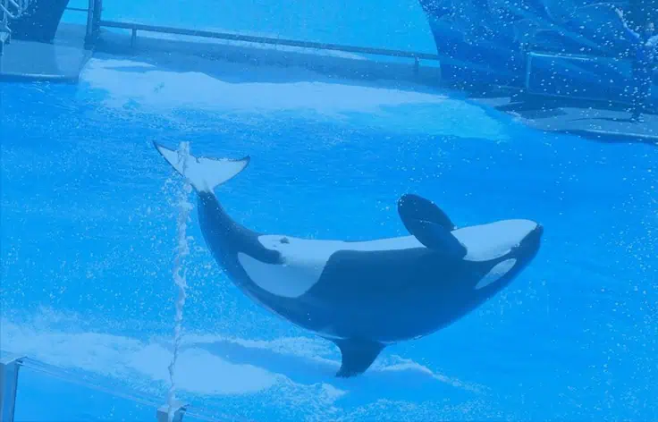 seaworld