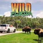 Wild Florida - Drive-Thru Safari