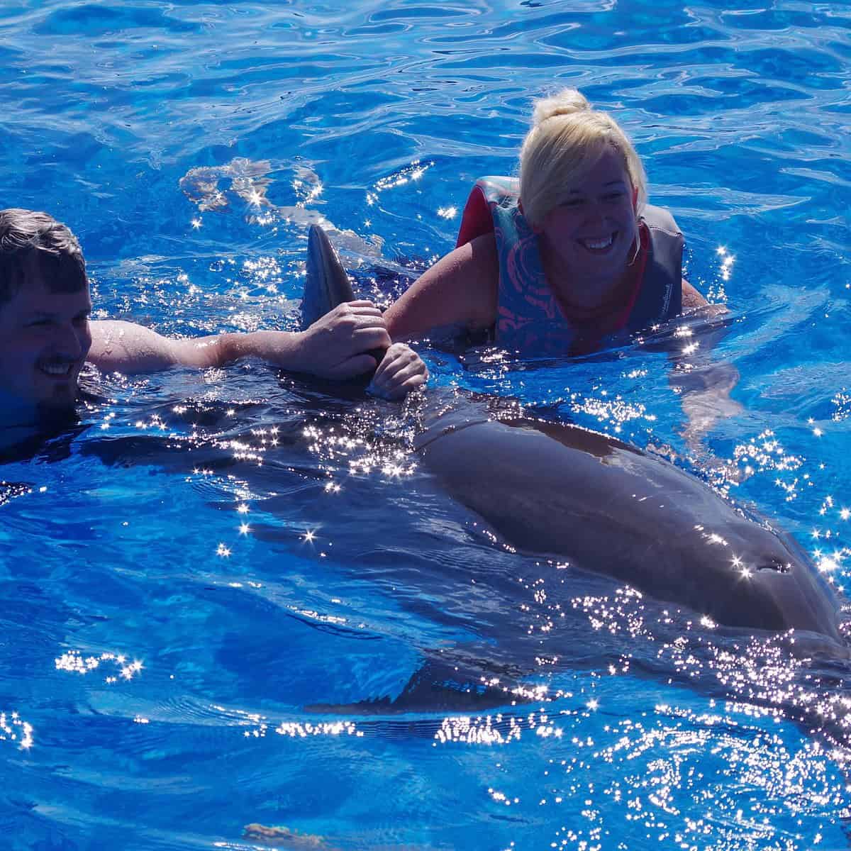 Marineland featuring dolphins, sea turtles, and interactive exhibits
