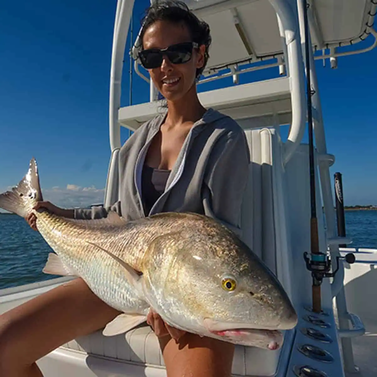 Ponce Inlet Watersports charter boat cruising along the Florida coastline
