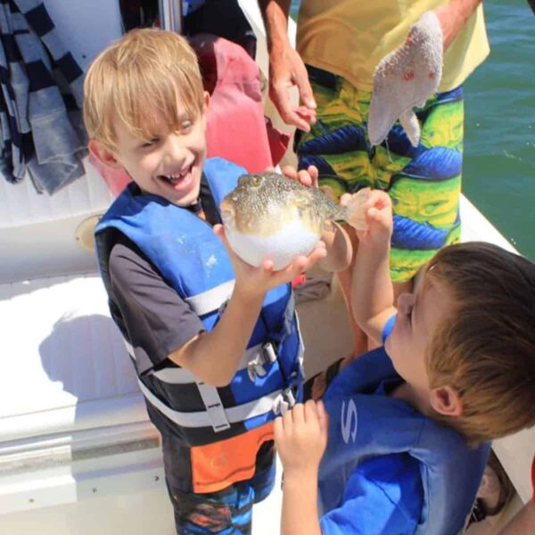 Ponce Inlet Watersports Boat Charters