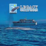 San Diego Legacy Whale Watch