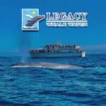 San Diego Legacy Whale Watch