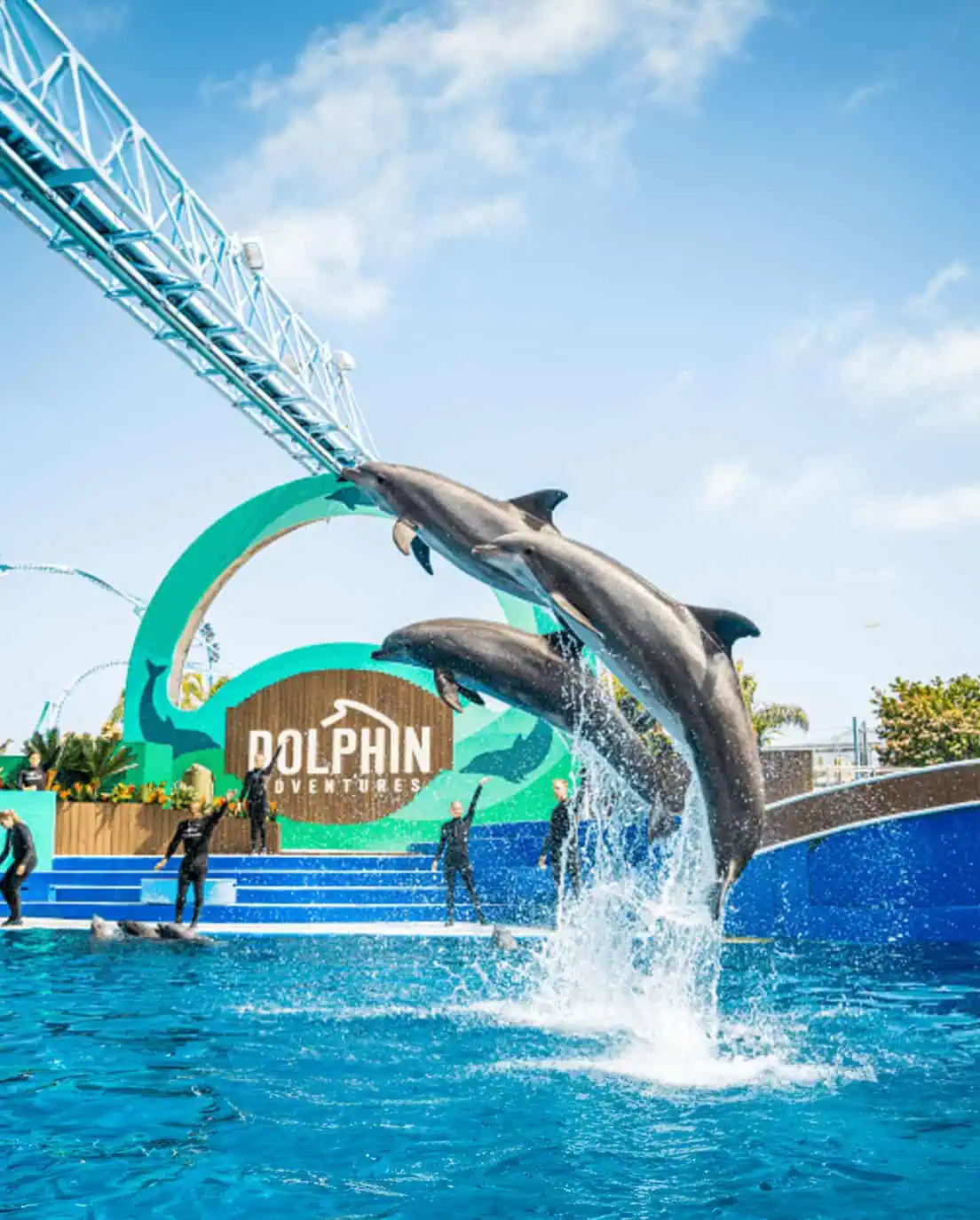 sea world-banner
