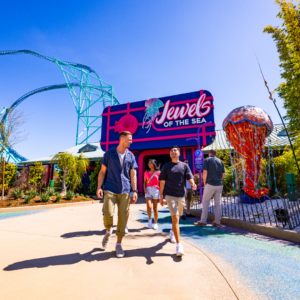 SeaWorld San Diego - Image 2