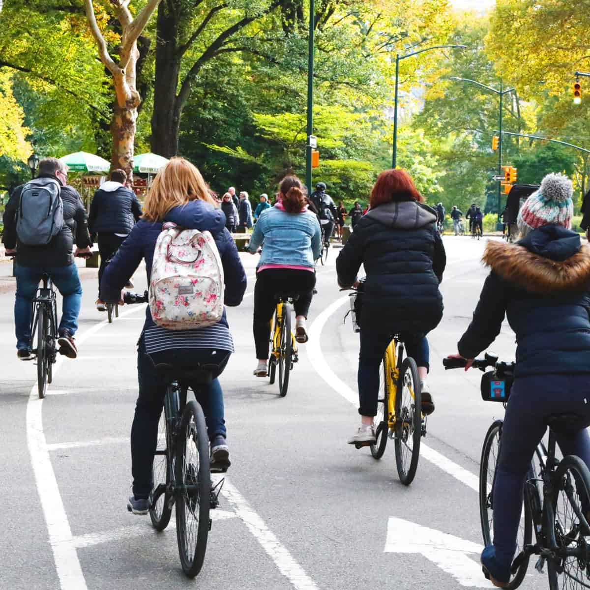 Unlimited Biking offering bike rentals for scenic sightseeing adventures