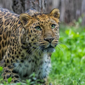 Nashville Zoo - Image 2