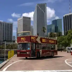 Miami Big Bus Discover Hop-on Hop-off Tour - Image 4