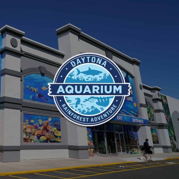 daytona aqua