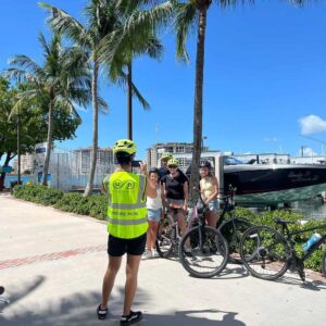 Miami Beach Bike Rentals - Image 2