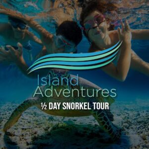 New Horizons & Breakaway Charters – 1/2 Day Snorkel Tour (Midday Snorkel Tour from Margaritaville Resort) - Image 1
