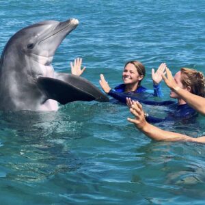 Coral World Ocean Park - Dolphin Splash & Swim Activities - Image 2