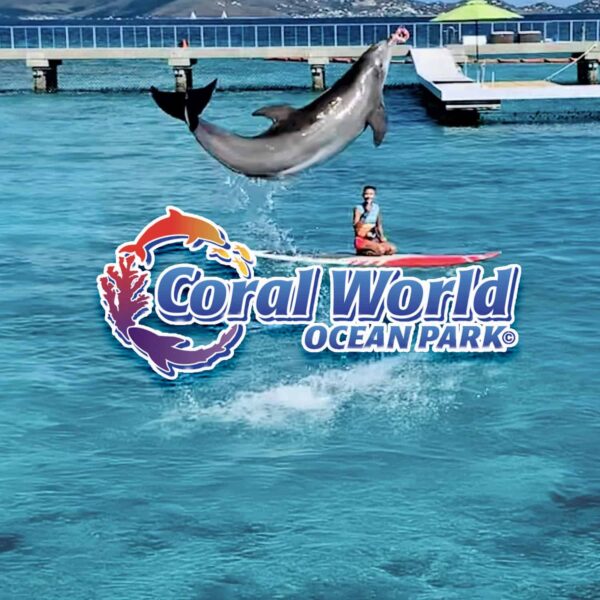Coral World Ocean Park Dolphin Main Image