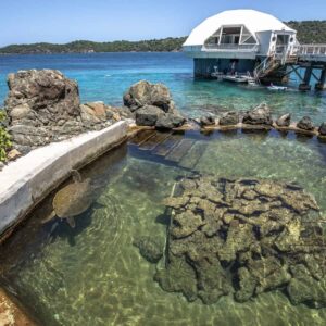 Coral World Ocean Park - General Admission - Image 2