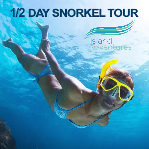 Guests enjoying a half-day snorkeling adventure with New Horizons in clear tropical waters