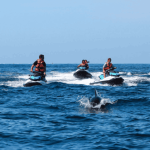 Jet Ski Rentals by MB Watersports - Image 4