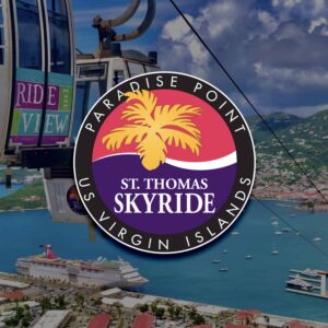 Skyride to Paradise Point - Image 1